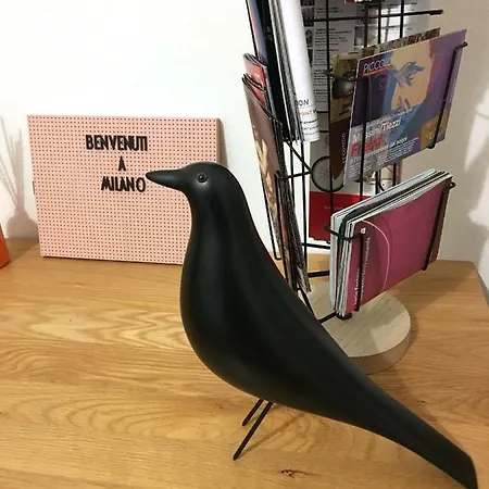 New Design Appartement